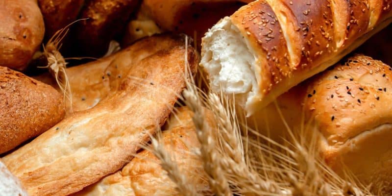 Glutenvrij Eten: Noodzaak, Trend, of Ergens Tussenin?