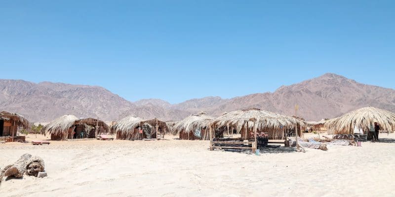 Geheimen van Lang Leven: Wat We Kunnen Leren van de Blue Zones!